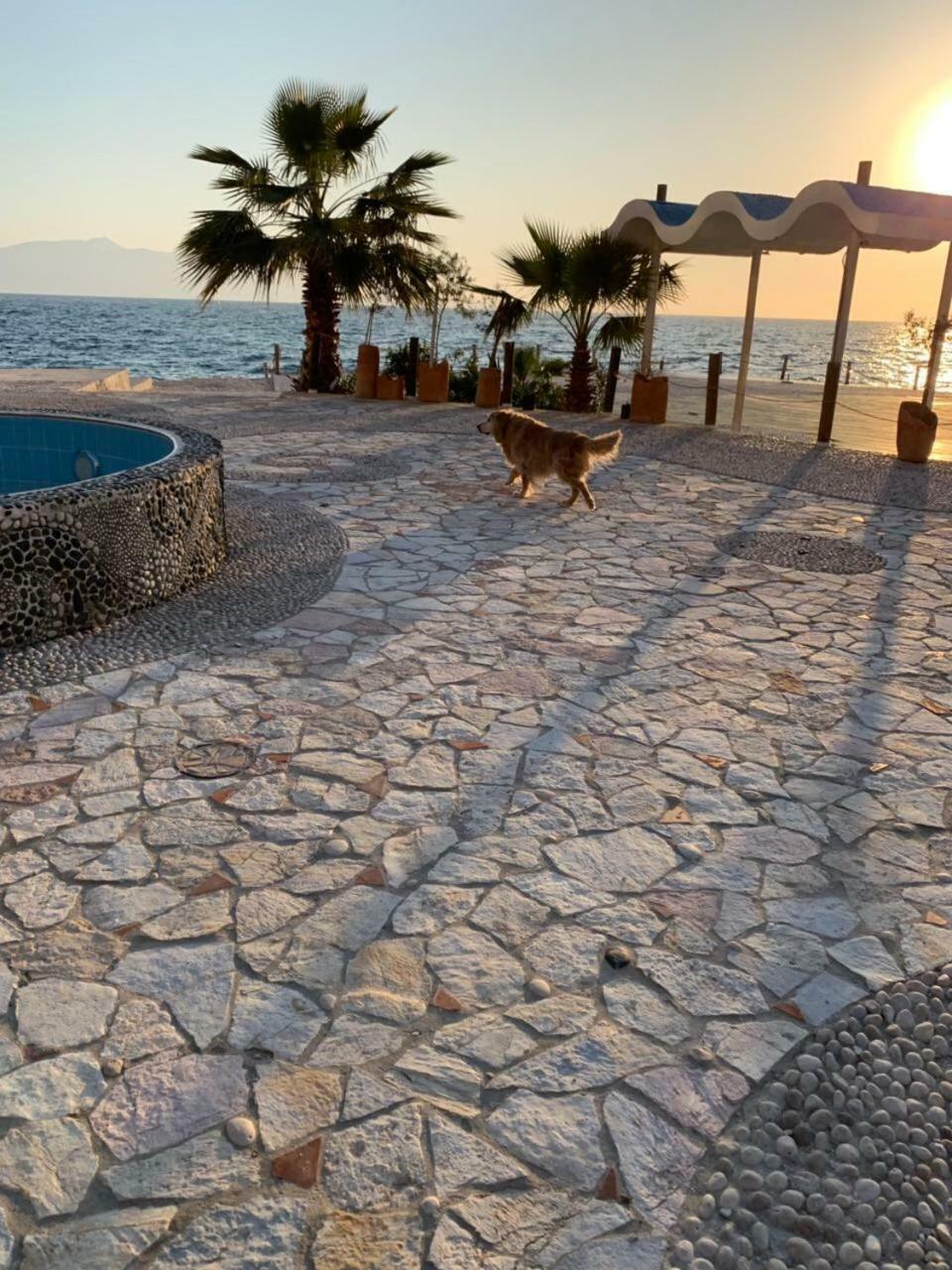 Bougainville Bay Resort - Villa 11 Sarandë Exteriér fotografie